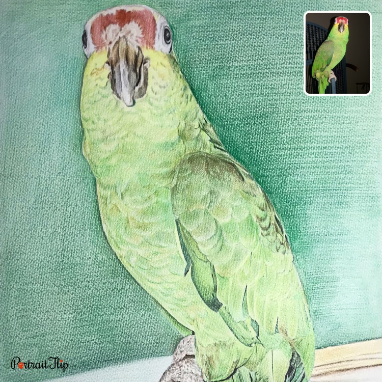 Custom Colored Pencil Drawing From Photos
