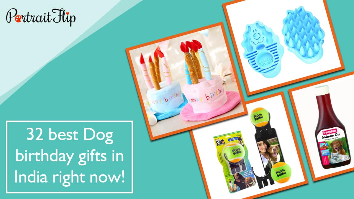 best dog birthday gifts