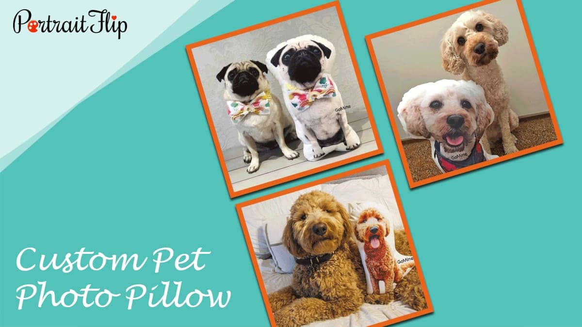 Custom Pet Photo Pillow