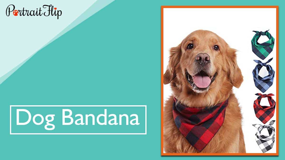 Dog Bandana