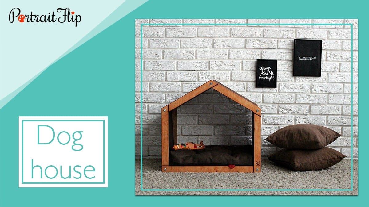 Dog house