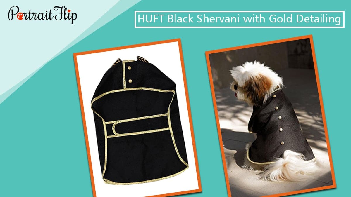 HUFT Black Shervani with Gold Detailing