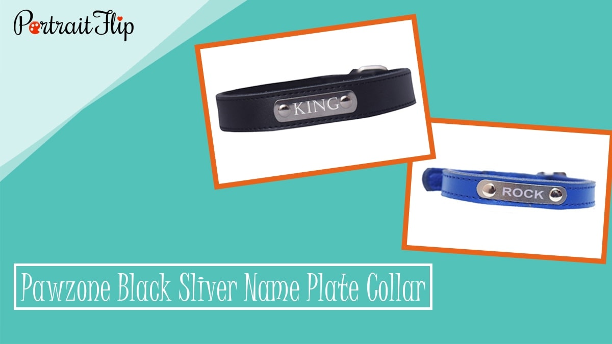Pawzone Black Sliver Name Plate Collar