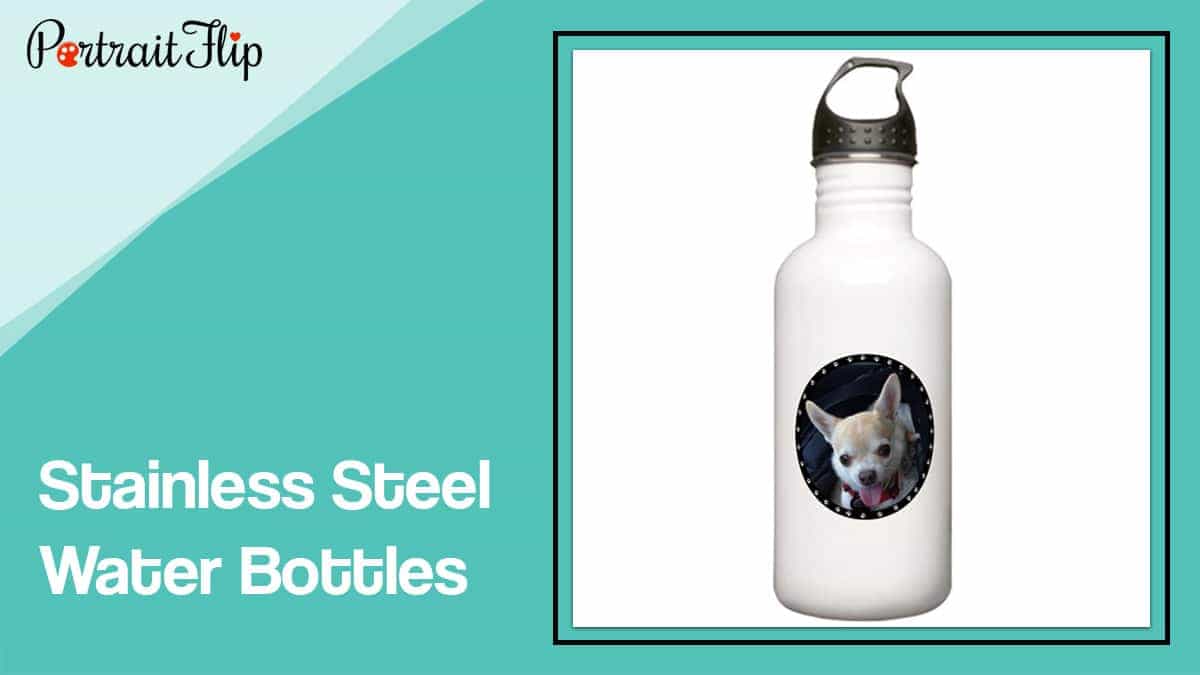 Stainless Steel Water Bottles